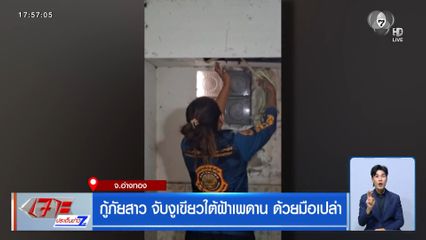 กู้ภัยสาว จับงูเขียวใต้ฝ้าเพดาน ด้วยมือเปล่า