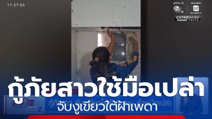 กู้ภัยสาว จับงูเขียวใต้ฝ้าเพดาน ด้วยมือเปล่า