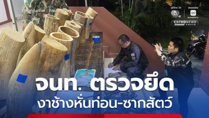 ตรวจยึด งาช้างหั่นท่อน ซากสัตว์ น้ำหนักรวมกว่า 150 กก. ริมโขงหนองคาย เร่งประสานทางการ สปป.ลาว ขยายผลทลายเครือข่ายค้าสัตว์ป่าข้ามชาติ