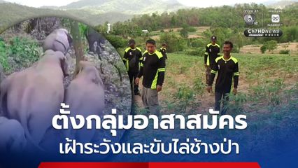ชาวบ้านรวมตั้งกลุ่มอาสาสมัครเฝ้าระวังและขับไล่ช้างป่า แก้ปัญหาคนกับช้าง ที่บุกกินพืชผลการเกษตร