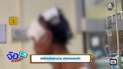 หมีป่าทำร้ายชาวบ้าน หวิดตายกลางป่า