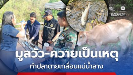 เผยสาเหตุปลาตายปริศนาเกลื่อนแม่น้ำลาง เกิดจากมูลวัว-ควาย