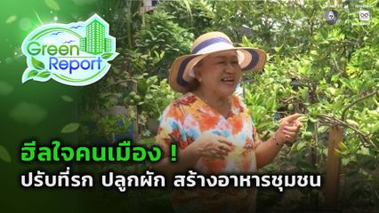 Green Report : ฮีลใจคนเมือง ! ปรับที่รก ปลูกผัก สร้างอาหารชุมชน