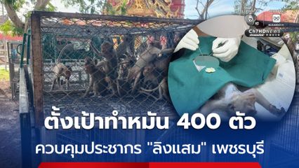 สบอ.3 สาขาเพชรบุรี ลุยควบคุมประชากร “ลิงแสม” ตั้งเป้าทำหมัน 400 ตัว ใน 11-26 พ.ค.นี้