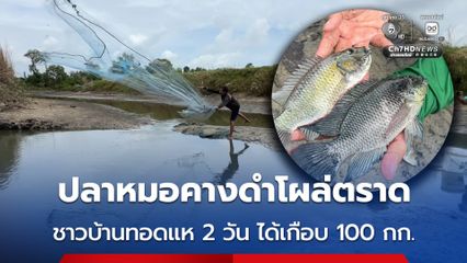 ปลาหมอคางดำโผล่ตราด ชาวบ้านทอดแห 2 วัน ได้เกือบ 100 กก.