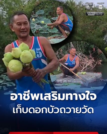 ลุงชาวประมงพื้นบ้าน ทำอาชีพเสริมทางใจ เก็บดอกบัวถวายวัด