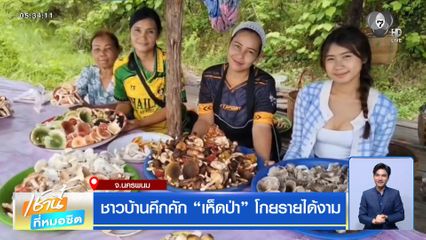 ชาวบ้านคึกคัก เห็ดป่า โกยรายได้งาม จ.นครพนม