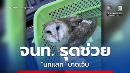 จนท.สำนักบริหารพื้นที่อนุรักษ์ที่ 6 (สงขลา) รุดช่วย "นกแสก" บาดเจ็บ หลังพลเมืองดีแจ้งผ่านสายด่วน 1362