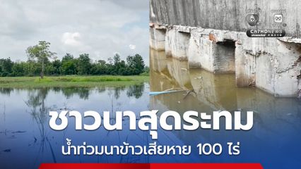ชาวนาสุดระทม น้ำท่วมนาข้าวเสียหาย 100 ไร่ หลังก่อสร้างถนนวางท่อสูงกว่าทางระบายน้ำ