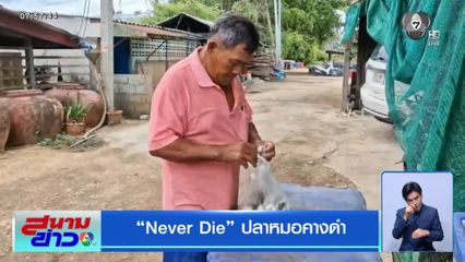 Never Die ปลาหมอคางดำ