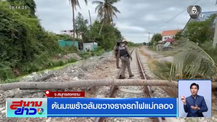 ต้นมะพร้าวล้มขวางรางรถไฟแม่กลอง
