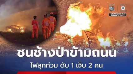 อุบัติเหตุสลด ขับเก๋งชนช้างป่าข้ามถนน ไฟลุกท่วม ดับ 1 เจ็บ 2 คน