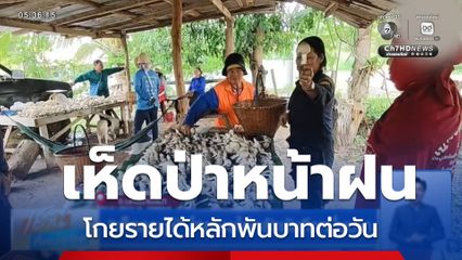 ชาวบ้านคึกคัก เห็ดป่า โกยรายได้งาม จ.นครพนม