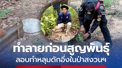 จนท.บุกทำลายหลุมดักอึ่งในป่าสงวนฯ ก่อนสูญพันนธุ์