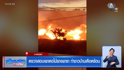 ตรวจสอบเผาตอไม้ยางพารา ทำชาวบ้านเดือดร้อน