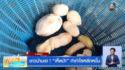 ชาวบ้านเฮ ! เห็ดป่า ทำกำไรหลักหมื่น