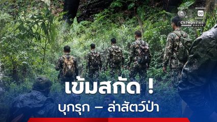 พิทักษ์ป่า อุทยานฯ ธารโบกขรณี  กระบี่ ลาดตระเวนเข้ม ! สกัดขบวนการมอดไม้จริงจัง