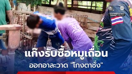 กลุ่มคนเลี้ยงหมูขาย ประกาศเตือนภัยแก๊งรับซื้อหมูโกงตาชั่ง