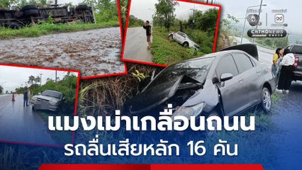 แมงเม่าเกลื่อนถนน ทำรถลื่นเสียหลัก 16 คัน
