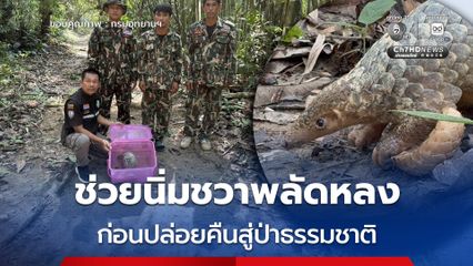 สบอ.14 (ตาก) เผยความสำเร็จเครือข่ายภาคประชาชน แจ้งช่วย “นิ่มชวา” พลัดหลง สวนยางสุโขทัย ก่อนปล่อยคืนสู่ป่าธรรมชาติ