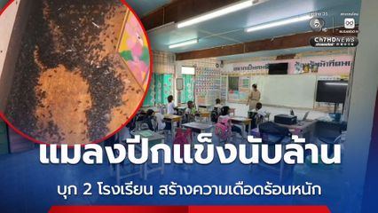 แมลงปีกแข็งนับล้าน บุก 2 โรงเรียน สร้างความเดือดร้อนหนัก