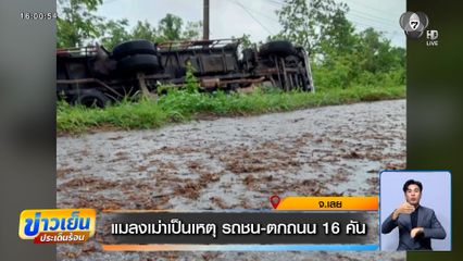 แมลงเม่าเป็นเหตุ รถชน-ตกถนน 16 คัน