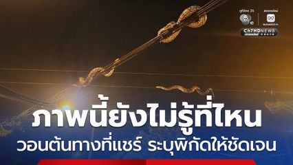 ภาพนี้ ยังไม่รู้ที่ไหน โซเชียลแห่แชร์ภาพงูเหลือมยักษ์ 3 ตัว เลื้อยบนสายไฟ