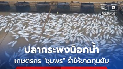 โรงบำบัดน้ำเสีย “ชุมพร” สร้างมา 30 ปีใช้งานไม่ได้ ปล่อยน้ำเน่าทะลัก “ปลาน็อกน้ำ” ตายเกลื่อน เกษตรกรขาดทุนยับ