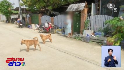 เพื่อนบ้านเอือม สุนัขคุมซอย