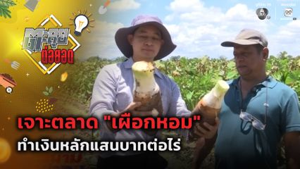ตะลุยต่อยอด : เจาะตลาด เผือกหอม ทำเงินหลักแสนบาทต่อไร่