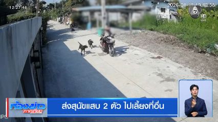 ส่งสุนัขแสบ 2 ตัว ไปเลี้ยงที่อื่น