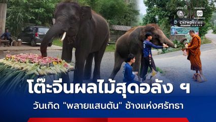โต๊ะจีนผลไม้สุดอลังการ จัดวันเกิด พลายแสนตัน ช้างแห่งศรัทธา