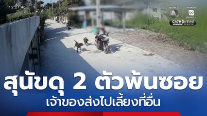 ส่งสุนัขแสบ 2 ตัว ไปเลี้ยงที่อื่น