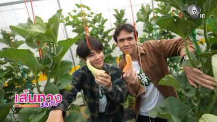 โต๋นแตร-จุกบี้ บุกตะลุยฟาร์มเมลอนใหญ่ยักษ์ที่อยุธยา ในรายการ เกษตรสุข
