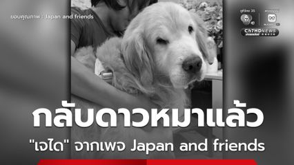 กลับดาวหมาแล้ว "เจได" จากเพจ Japan and friends