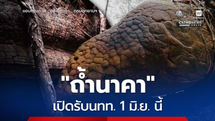 ปักหมุดรอ 1 มิ.ย. นี้ "ถ้ำนาคา" พร้อมเปิดรับนักท่องเที่ยว หลังปิดฟื้นฟูธรรมชาติ