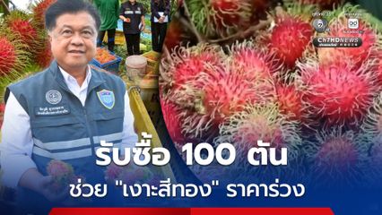 ประสานรับซื้อ 100 ตัน ค้าภายในฯ เร่งช่วยเงาะสีทองราคาร่วง