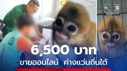 ค่างแว่นถิ่นใต้ โพสต์ขายออนไลน์ ตำรวจ ปทส. ล่อซื้อจับพร้อมของกลาง