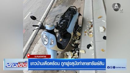 ชาวบ้านเดือดร้อน ถูกฝูงสุนัขทำลายทรัพย์สิน จ.หนองคาย