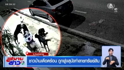 ชาวบ้านเดือดร้อน ถูกฝูงสุนัขทำลายทรัพย์สิน