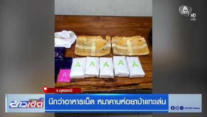 นึกว่าอาหารเม็ด หมาคาบห่อยาบ้าแทะเล่น