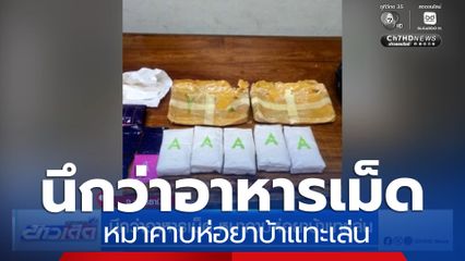 นึกว่าอาหารเม็ด หมาคาบห่อยาบ้าแทะเล่น