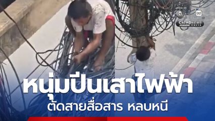 ชายเร่ร่อนปีนเสาไฟฟ้า ขโมยสายสื่อสาร