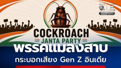 พรรคแมลงสาบอินเดียฟีเวอร์! ไวรัลสะท้อนความอัดอั้นตันใจของ Gen Z