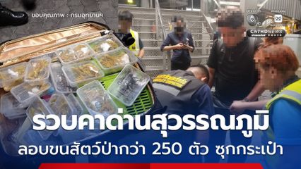 รวบชายมาเลเซียคาด่านสุวรรณภูมิ ลักลอบขนสัตว์ป่ากว่า 200 ตัว ในกระเป๋าเดินทาง