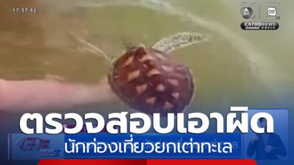 ตรวจสอบเอาผิด นักท่องเที่ยวยกเต่าทะเล จ.ภูเก็ต