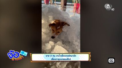 ชาย 2 คน เทน้ำแข็งบดแช่หมาวัด เสี่ยงทารุณกรรมสัตว์