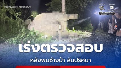 อธิบดีกรมอุทยานฯ สั่งเร่งตรวจสอบ หลังพบช้างป่าเพศผู้มีงาคู่ ล้มปริศนาท้ายสวนผลไม้ที่ จ.จันทบุรี