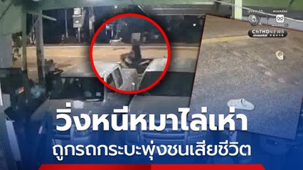 วิ่งหนีหมาไล่เห่า ถูกรถกระบะพุ่งชนเสียชีวิต