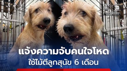 เจ้าของสุนัขสุดทน ขึ้นโรงพัก แจ้งความจับคนใจโหด ใช้ไม้ตีลูกหมา 6 เดือน ปากเบี้ยว-ขาหัก อ้างฉุนที่สุนัขไปคุ้ยต้นไม้ราคาแพง